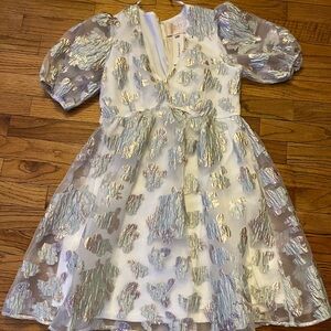 Francesca's Collections White and Silver Floral Dress